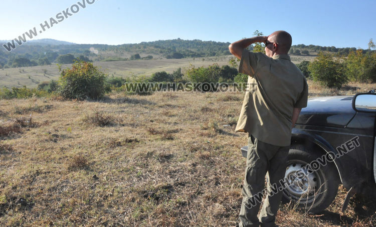 Верижна техника и военни гасят пожара край Любеново