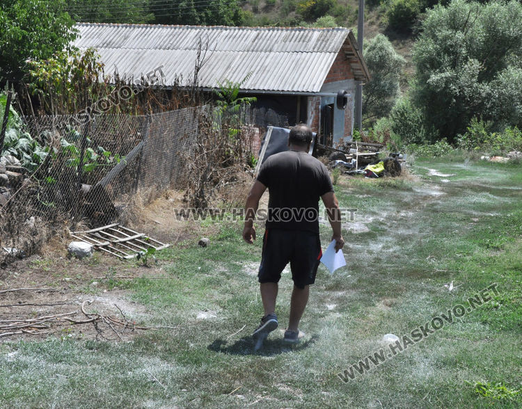 110 изклани прасета по селата в Хасковско, предписания за 12 стопани