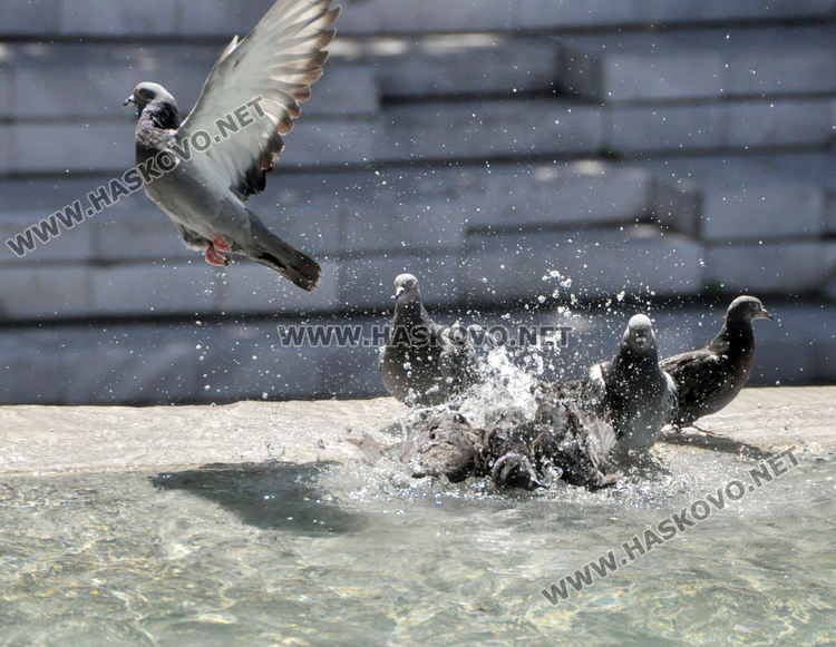 Топло и днес