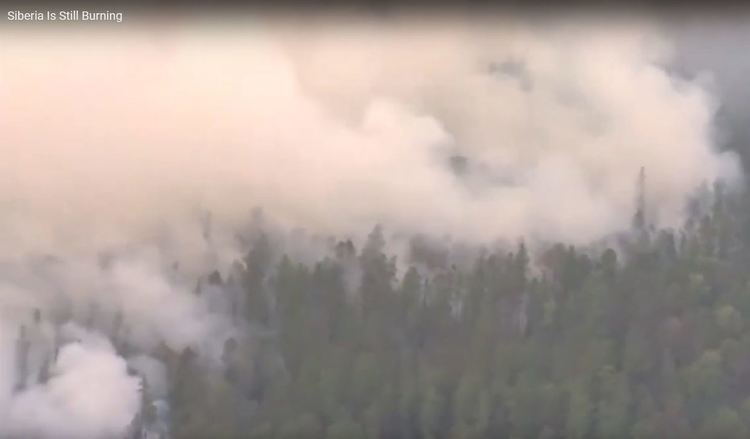 Сибирските пожари задимиха територия по-голяма от Европа, ще повлияят глобалното затопляне (видео)