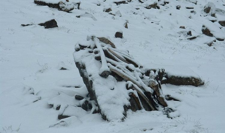 ДНК анализ заплете още повече мистерията на хималайското Езеро на скелетите