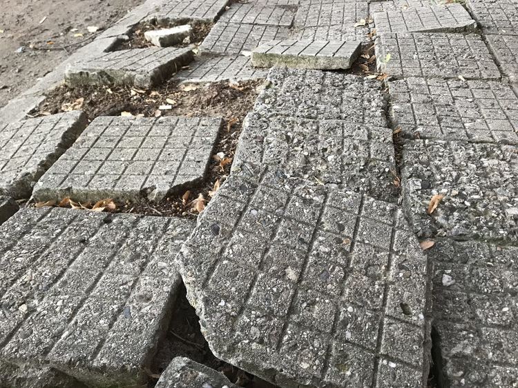 Общинският съветник Гроздан Колев алармира за недопустими битови условия в кв."Студен кладенец"