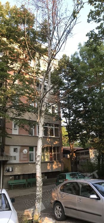 Общинският съветник Гроздан Колев алармира за недопустими битови условия в кв."Студен кладенец"