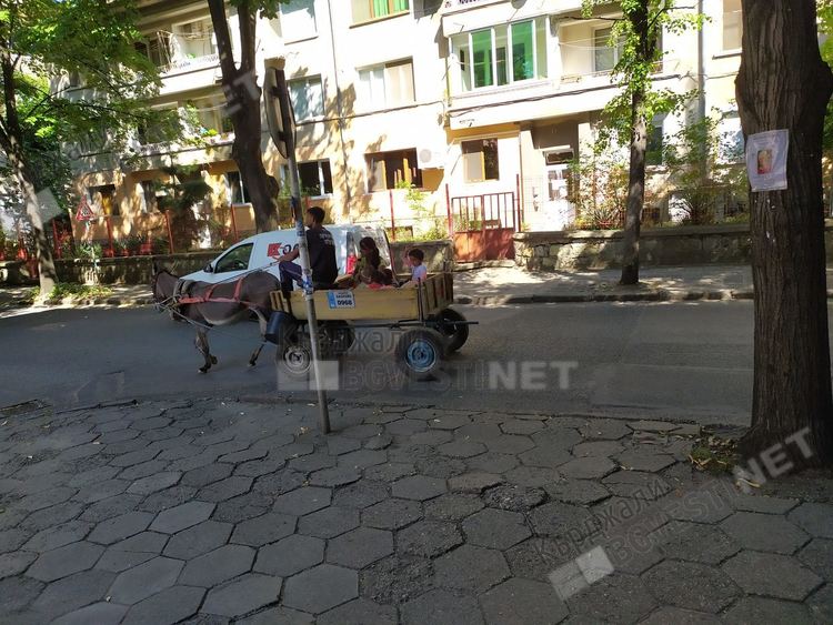 Мнозинството кърджалийци са против придвижването на каруци в центъра на града, сочи анкета
