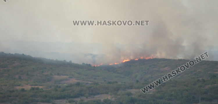 Пожар избухна край Поляново при разчистване на орехова градина