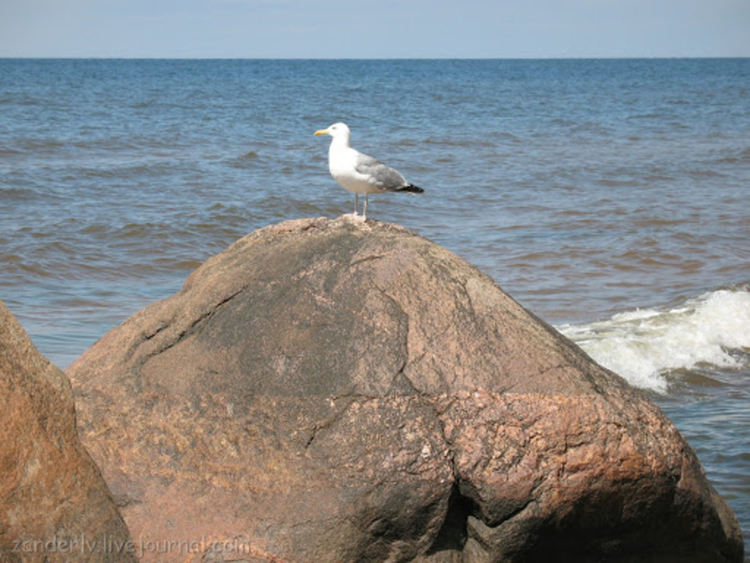 Много топло в сряда с опасност за пожари