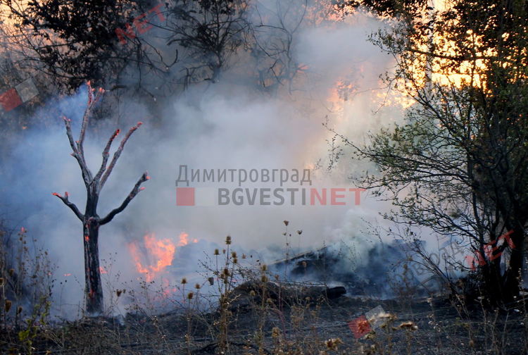 тук е била бараката на Стефан