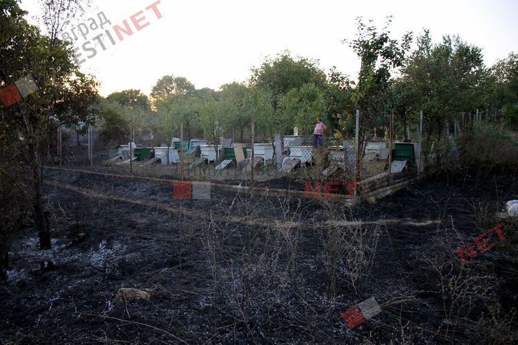 Избухна пожар във вилната зона на Димитровград, изгоря дома на Стефан