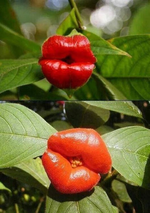 Септември започва слънчев и горещ   