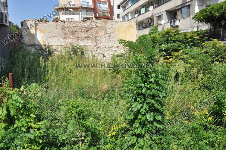 Хасковлия: Пустеещи и тревясали имоти са превърнати в змиярници