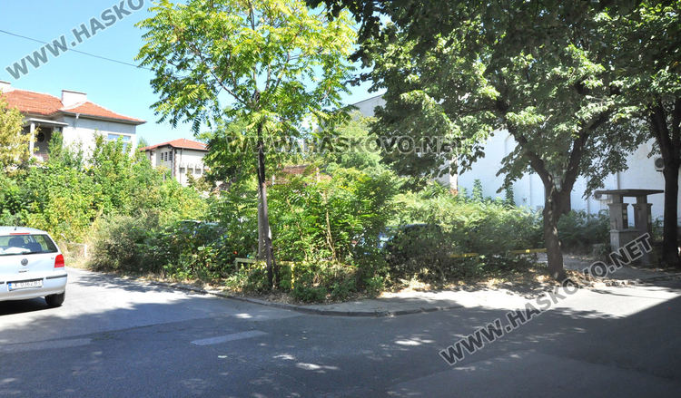 Хасковлия: Пустеещи и тревясали имоти са превърнати в змиярници