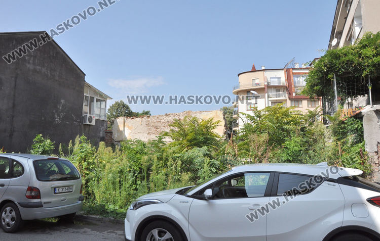 Хасковлия: Пустеещи и тревясали имоти са превърнати в змиярници