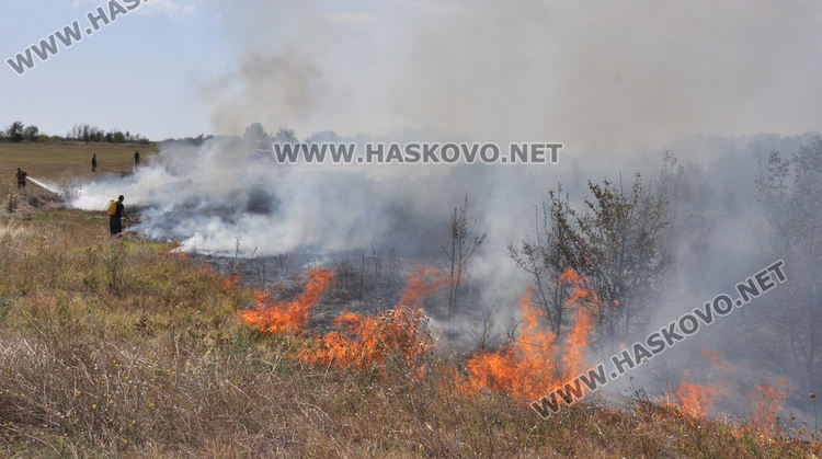 Пожар избухна край международния път Е-80
