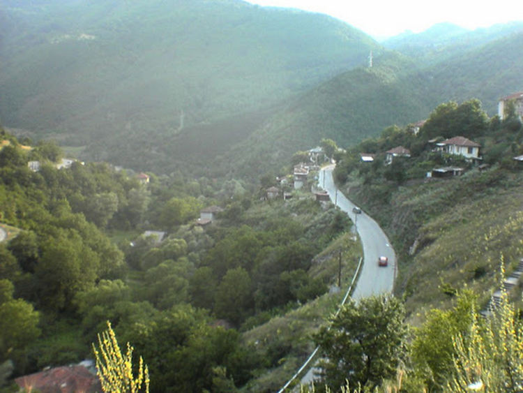 Заради африканската чума ограничиха достъпа до гората в районите на Михалково, Селча и Стоманово