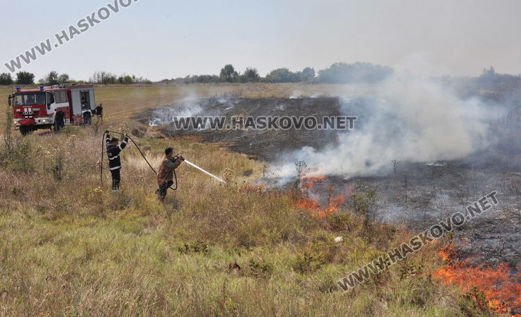 Пожар избухна край международния път Е-80