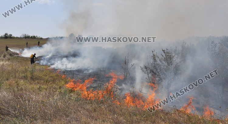 Пожар избухна край международния път Е-80