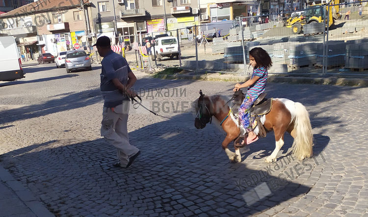 Кърджали си няма електромобили, но все пак има екологичен транспорт