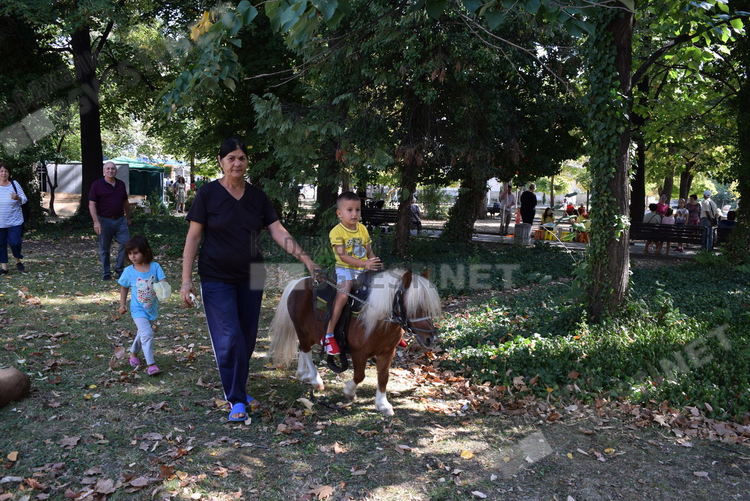 Кърджали си няма електромобили, но все пак има екологичен транспорт