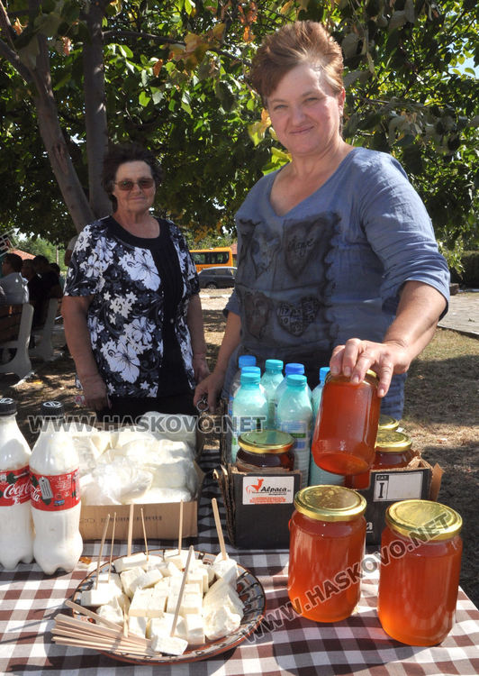 Добри добиви  обявиха в Сусам в началото на гроздобера