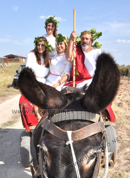 Добри добиви  обявиха в Сусам в началото на гроздобера