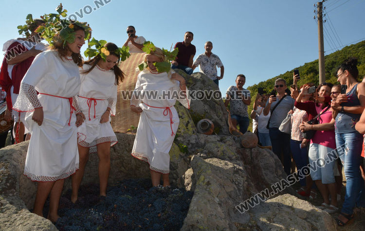 Вино потече от шарапаната под връх Аида 