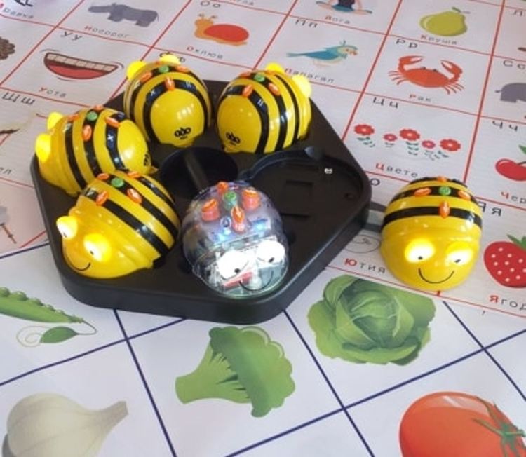 С пълен кошер пчели-роботи се сдоби Градска библиотека „Пеньо Пенев“