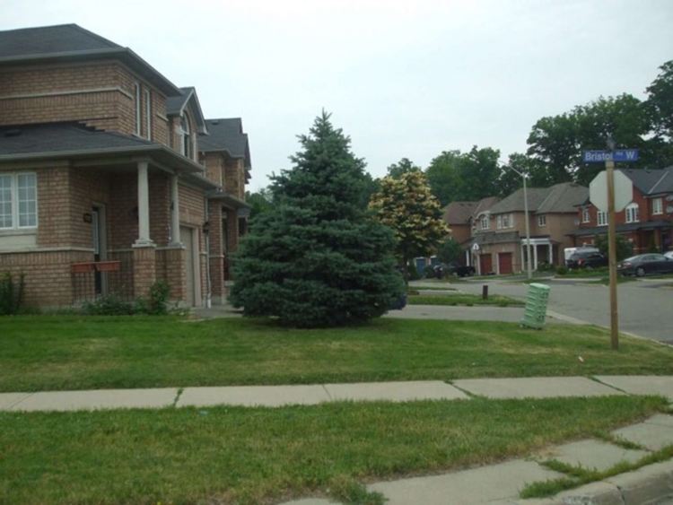 Хейсъл  Маккалиън е избрана за кмет на 57 години и се пенсионира на този пост на 93