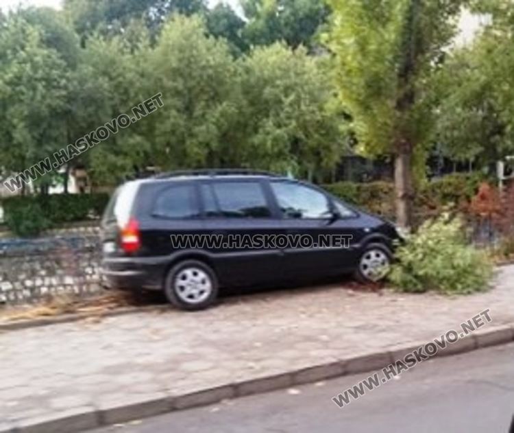 Опел се заби в дърво край хасковската река