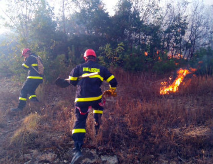 Фас опожари 50 бали и два сеновала край Долен, огнеборци спасиха над 500 декара гора