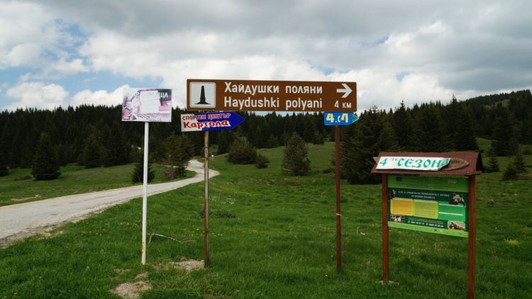 снимката е илюстративна, източник: opoznai.bg