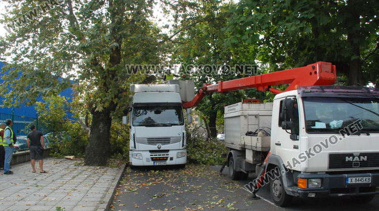 40-тонен тир се заклещи в дърво до ПИМ-а, затвориха част от „Васил Левски“