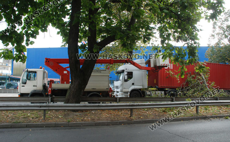 40-тонен тир се заклещи в дърво до ПИМ-а, затвориха част от „Васил Левски“