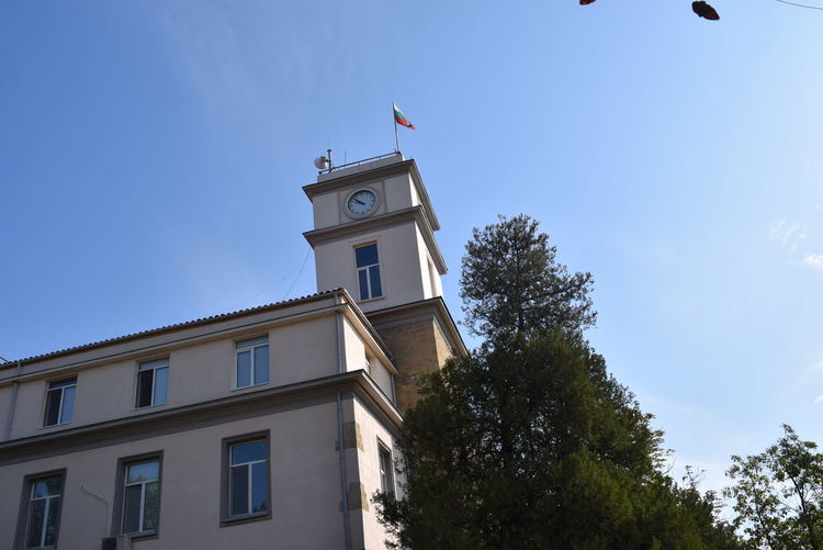 Досъдебни производства в Кърджали, скандали завършват с избити зъби и загуба на слух