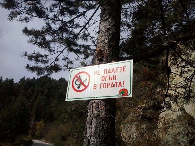 Горските сложиха над 550 табели срещу пожари в горски и ловни стопанства