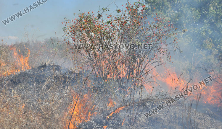 Горяха гуми и отпадъци до "Редки метали" (видео)