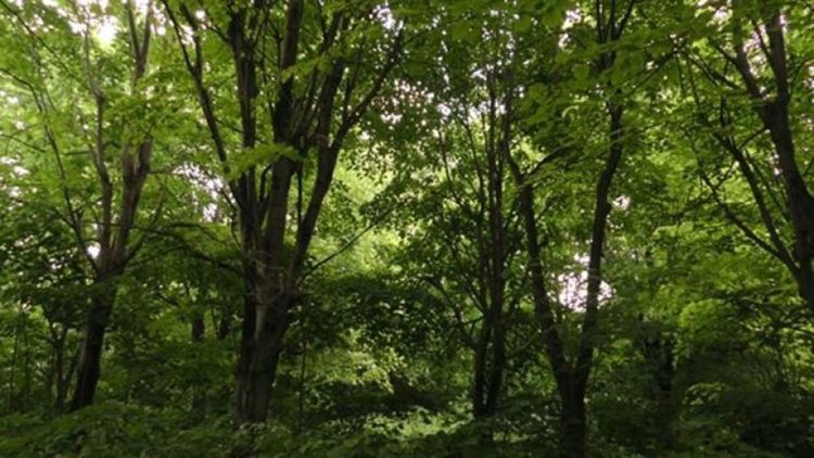 Снимка: ФБ Случаят Бедечка