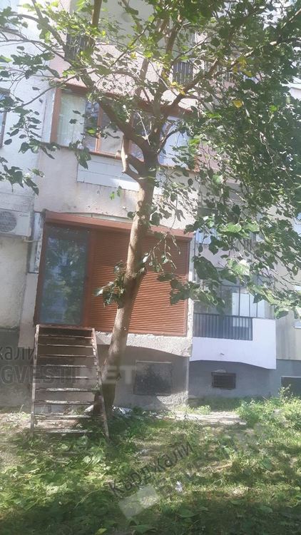 Граждани от „Възрожденци” негодуват за кастренето на дървета в квартала