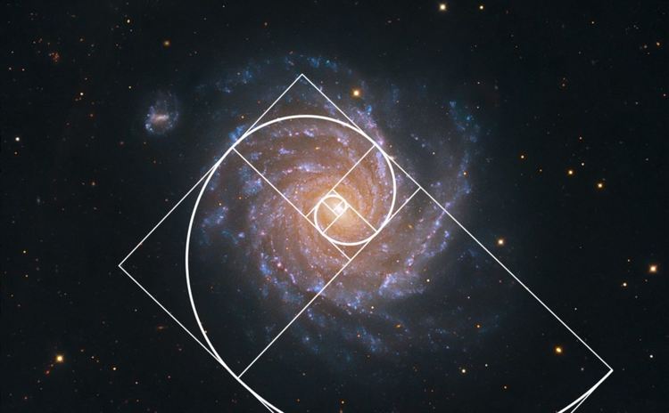 Златното сечение в пропорциите на човешкия череп установиха учени (видео)