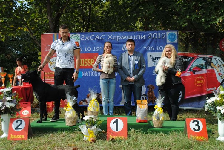 Померан е най-доброто куче във второто издание на  киноложката изложба в Харманли