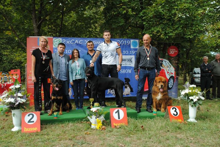 Померан е най-доброто куче във второто издание на  киноложката изложба в Харманли