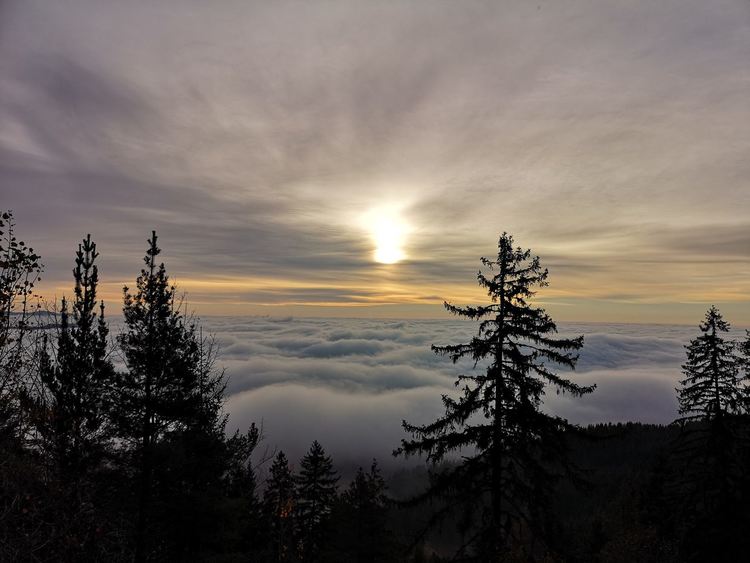 От 12 до 68-годишни в оспорвано състезание за уникални фотоси, ето кои ще красят календара на Община Смолян за 2020-та
