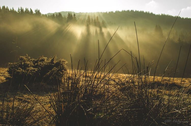 От 12 до 68-годишни в оспорвано състезание за уникални фотоси, ето кои ще красят календара на Община Смолян за 2020-та