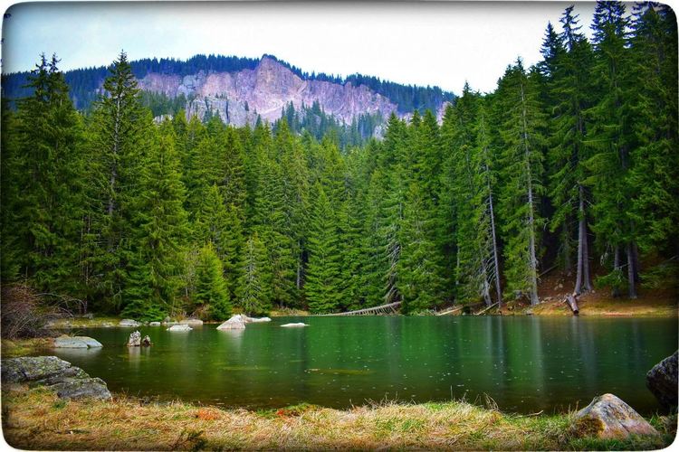 От 12 до 68-годишни в оспорвано състезание за уникални фотоси, ето кои ще красят календара на Община Смолян за 2020-та