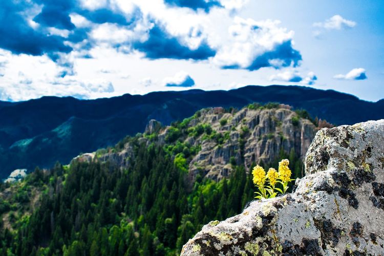 От 12 до 68-годишни в оспорвано състезание за уникални фотоси, ето кои ще красят календара на Община Смолян за 2020-та