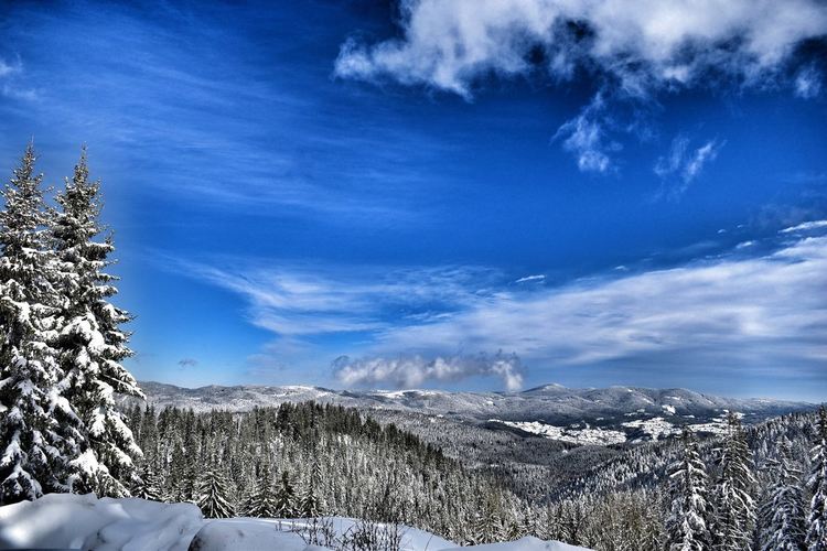 От 12 до 68-годишни в оспорвано състезание за уникални фотоси, ето кои ще красят календара на Община Смолян за 2020-та
