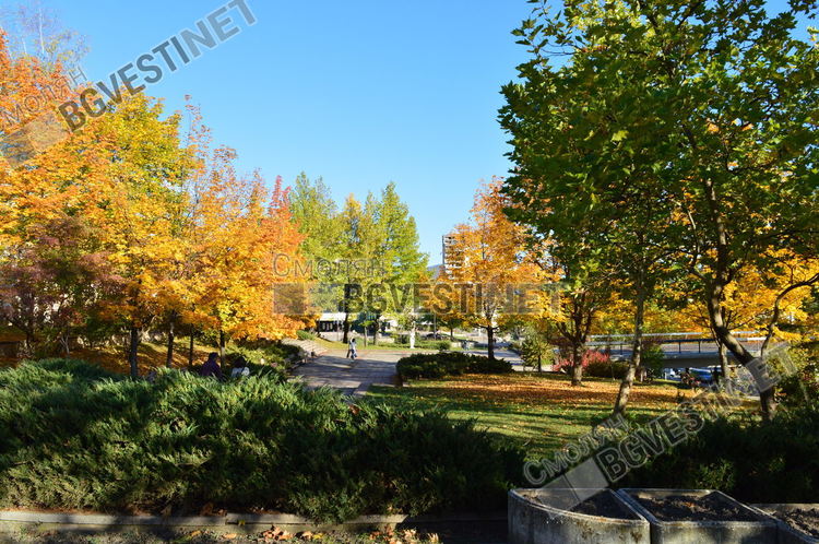 В неделя: обилно слънце, лек ветрец и чисто небе