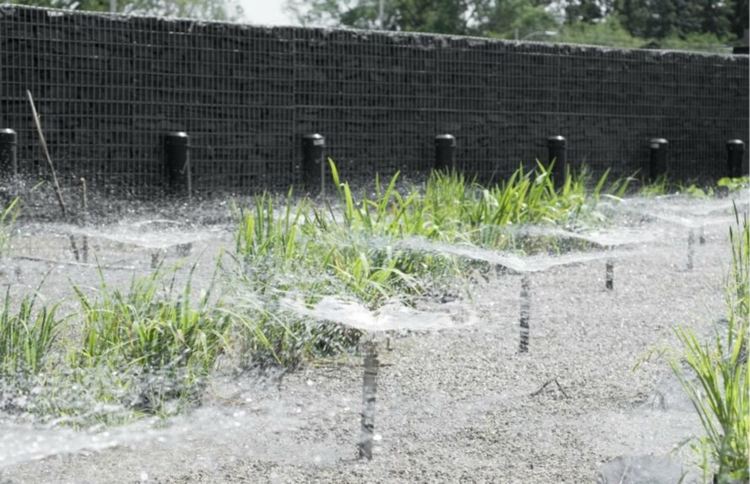 Първият плувен басейн с "жива вода" отвори в Канада