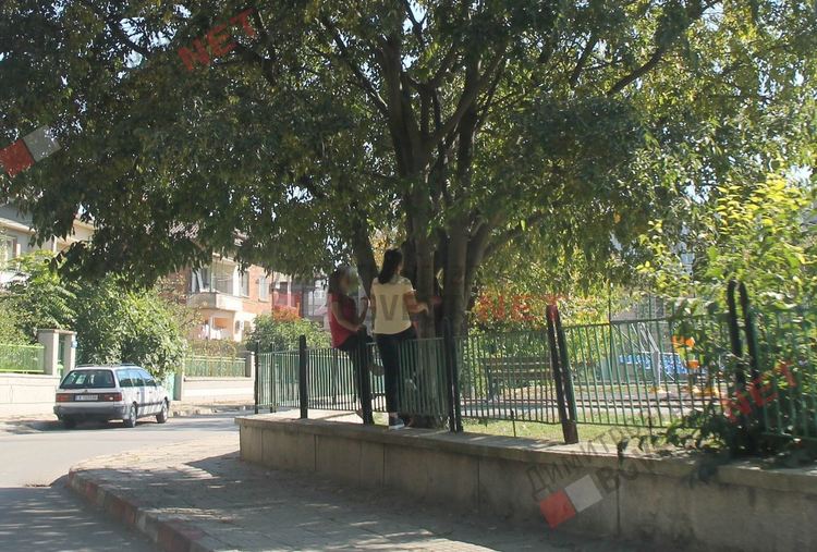 Да "заключим" ли училищата в Димитровград - има ли проблем с дисциплината и възпитанието на учениците?