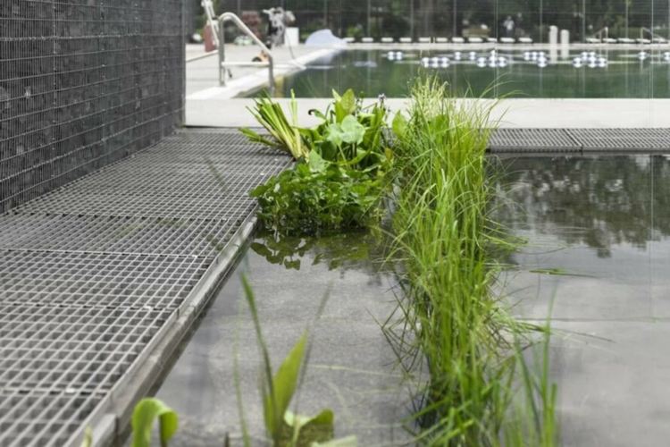 Първият плувен басейн с "жива вода" отвори в Канада