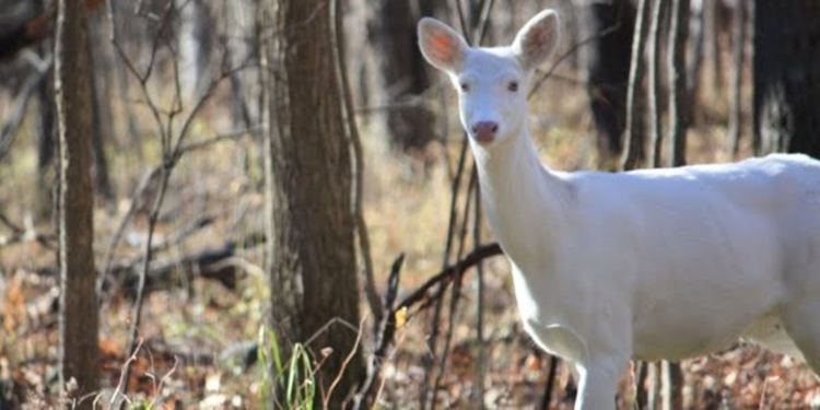 снимката е илюстративна, източник- интернет